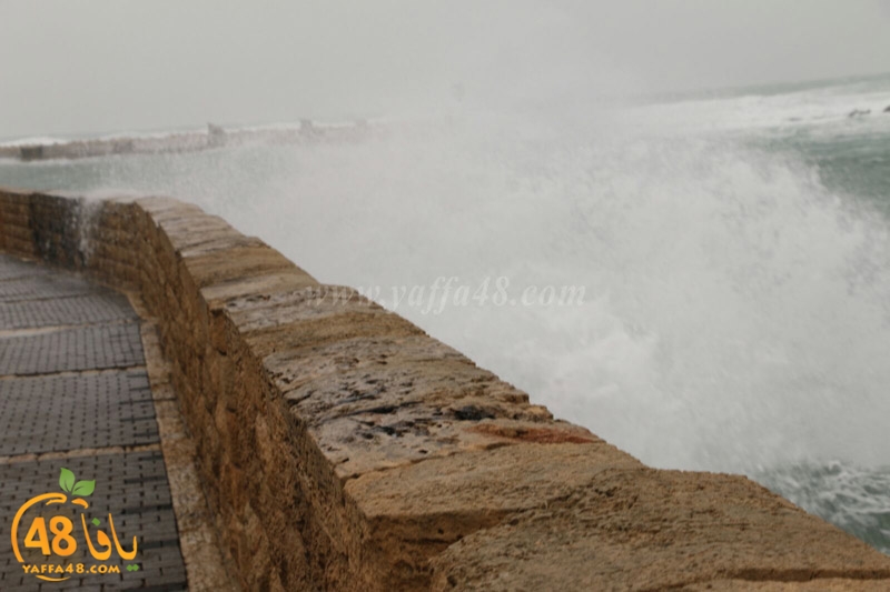 yaffa weahtera (10).jpg